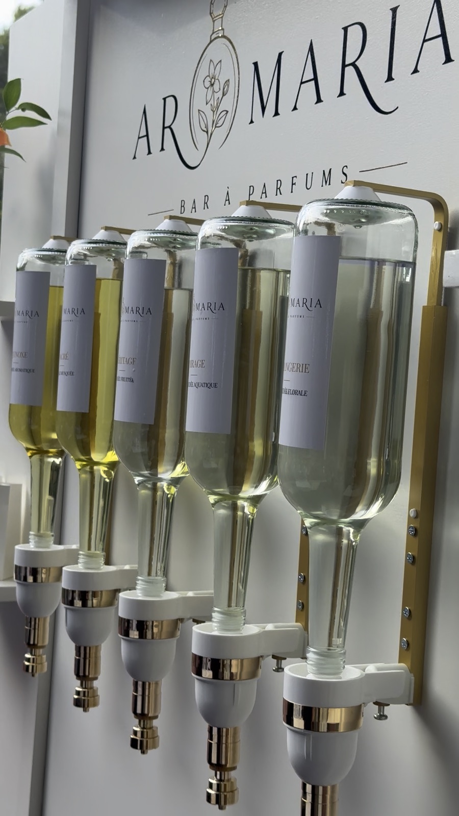Le bar &agrave; parfums Aromaria